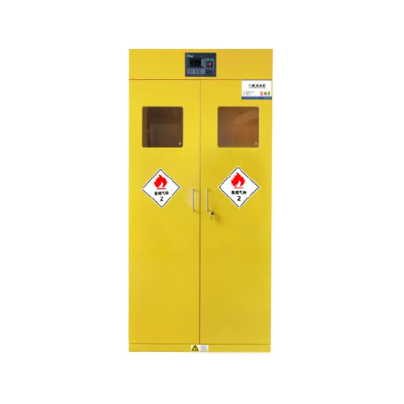 Armoire de rangement de cylindre à gaz à double bouteille